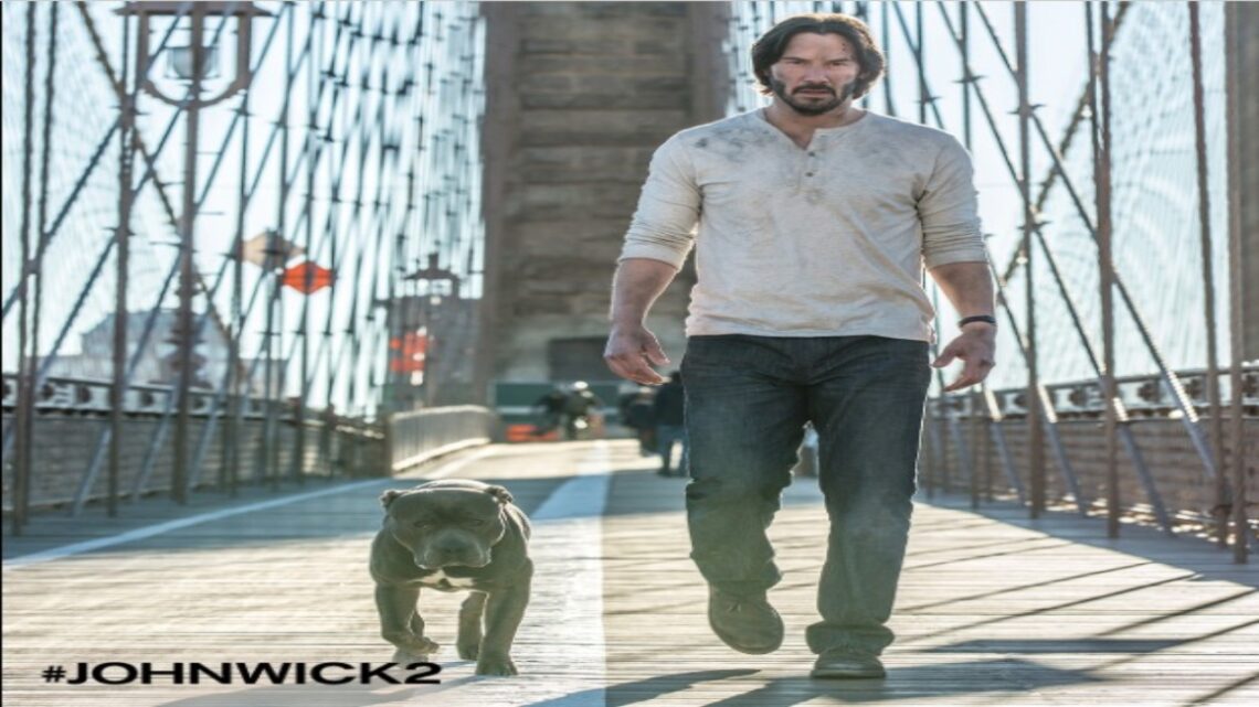 John Wick Tratto Da Una Storia Vera Anticipazionitv