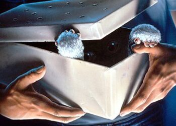 10 film da guardare su Netflix il mese di giugno: tutte le novità!