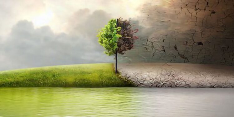 documentari-sull-ambiente