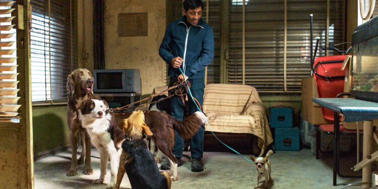 film-italiani-recenti