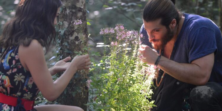 Daydreamer: ecco gli ingredienti per creare il profumo di Sanem che fa impazzire Can