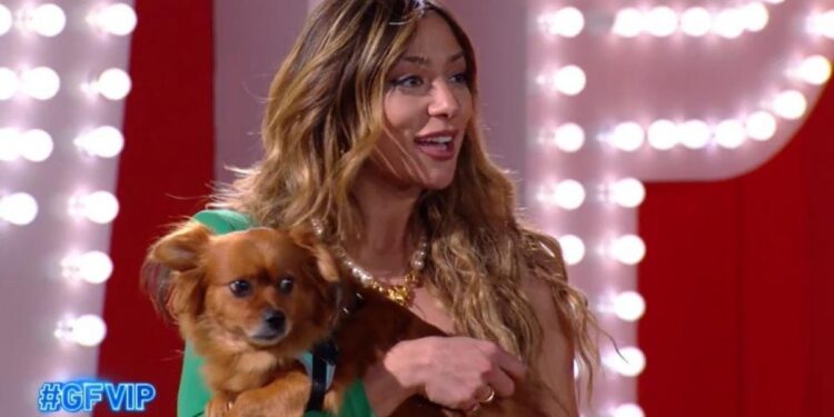 gf vip 6 una bellissima soleil sorge rivede il cane simba C 1 article 30770 launch horizontal image