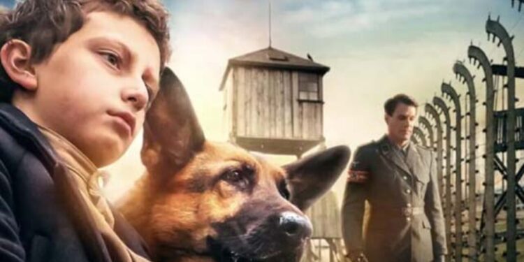 Zack, cane eroe: dove è stato girato