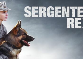 Sergente Rex: trama, dove è stato girato e curiosità