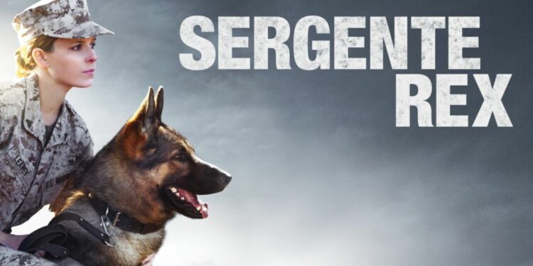 Sergente Rex: trama, dove è stato girato e curiosità