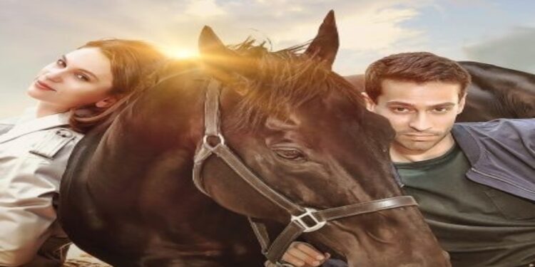 Bold Pilot – Leggenda di un campione è tratto da una storia vera?