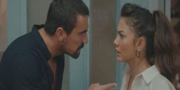 My Home My Destiny, anticipazioni 25 luglio: Mehdi arrabbiato con Zeynep. Faruk le fa una richiesta sconvolgente