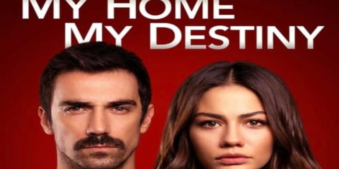 My Home My Destiny, anticipazioni 3 agosto: Zeliha manda via Bayram. Zeynep cerca di far riflettere Benal