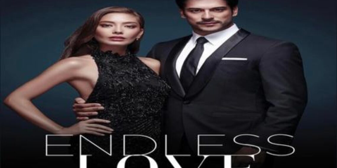Endless Love, anticipazioni 26 marzo: Nihan ‘sfida’ Kemal. Lui trova una scusa con Emir